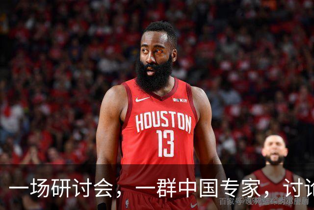 一场研讨会，一群中国专家，讨论的全是中国自己的事，可主办方偏偏定了条死规矩 —— 全程必须说英语