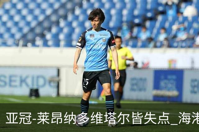 亚冠-莱昂纳多维塔尔皆失点 海港爆冷2-3河内公安遭首败