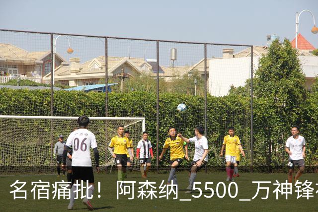 名宿痛批！阿森纳 5500 万神锋被彻底用废！阿尔特塔离谱毁人