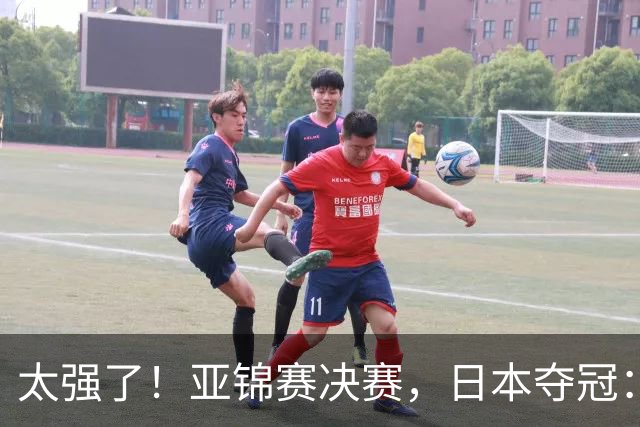 太强了！亚锦赛决赛，日本夺冠：松岛辉空-张本美和3-2黄友政-陈熠