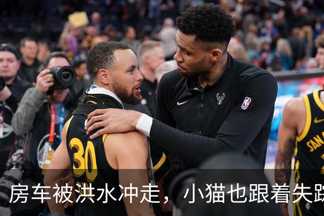 房车被洪水冲走，小猫也跟着失踪，8天后它突然回家了，全家人都哭了