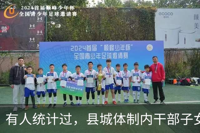 有人统计过，县城体制内干部子女基本在机关事业、电力等国企工作
