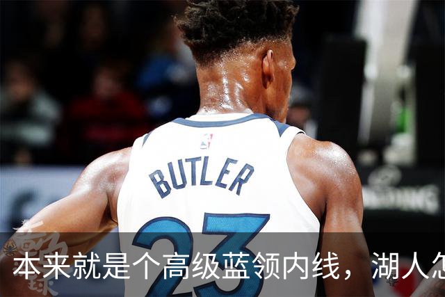本来就是个高级蓝领内线，湖人怎么能指望他做到面面俱到？