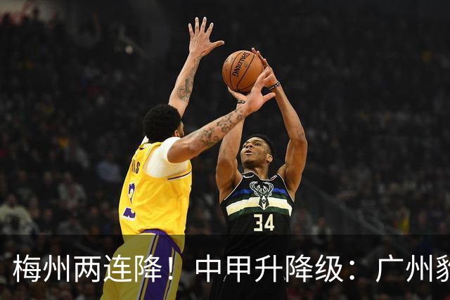 梅州两连降！中甲升降级：广州豹、南通支云冲超，梅州与佛山降级