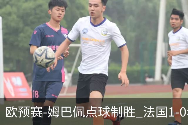 欧预赛-姆巴佩点球制胜 法国1-0希腊取4连胜