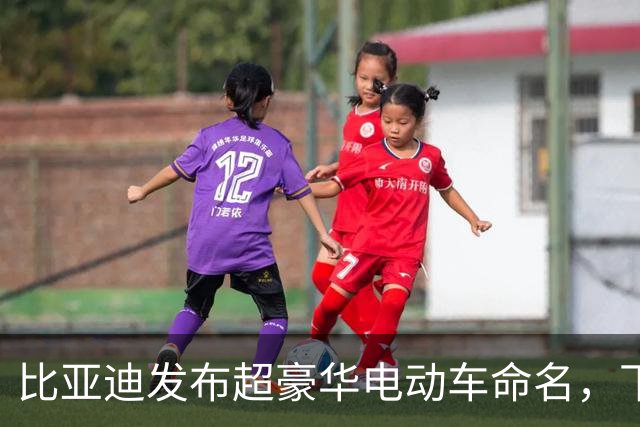 比亚迪发布超豪华电动车命名，下周或将改写行业格局