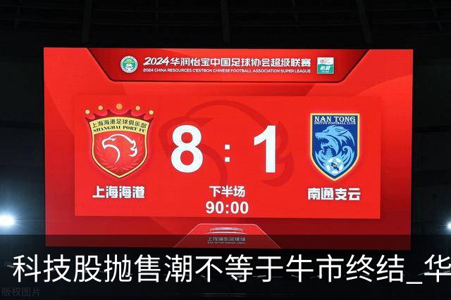 科技股抛售潮不等于牛市终结 华尔街策略师：基本面依然强劲 回调或是买入良机