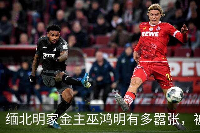 缅北明家金主巫鸿明有多嚣张，被抓后仍狂妄，座右铭更是让人后背发凉