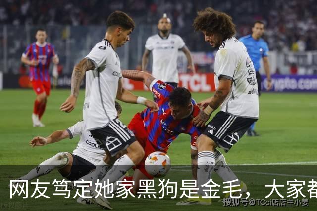 网友笃定她家黑狗是金毛，大家都不信，直到她晒出这张照片……没毛病，是金毛！