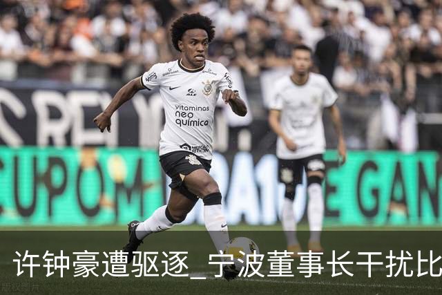 许钟豪遭驱逐 宁波董事长干扰比赛被停赛+罚款3万