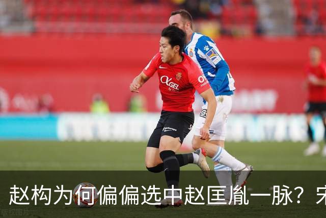 赵构为何偏偏选中赵匡胤一脉？宋孝宗上位的背后，是一场精心算计
