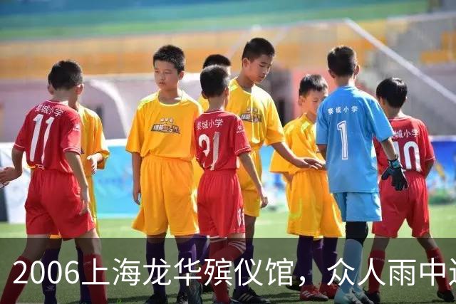 2006上海龙华殡仪馆，众人雨中送别陈述